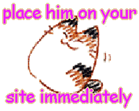 coolcat